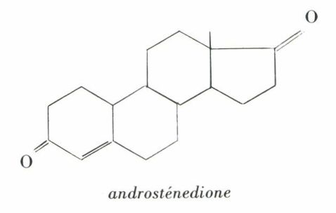 Biosynthese des hormones steroides
