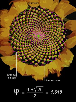 Nombre d'or Nombre d'or