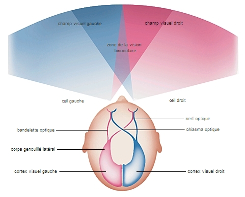 http://www.larousse.fr/encyclopedie/data/images/1001413.jpg
