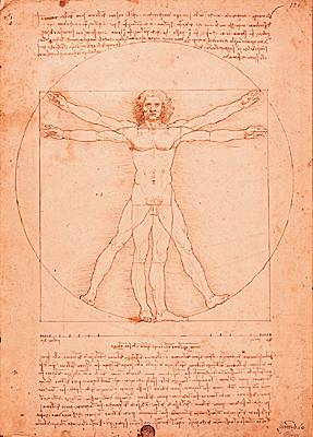 Léonard de Vinci, étude