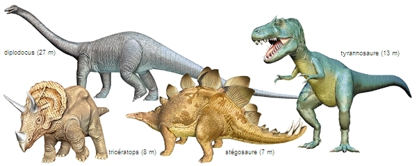 Problèmes d'affichage du dinosaure (plusieurs images) [OK] 