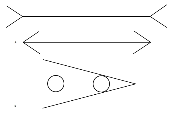 Illusions optico-géométriques