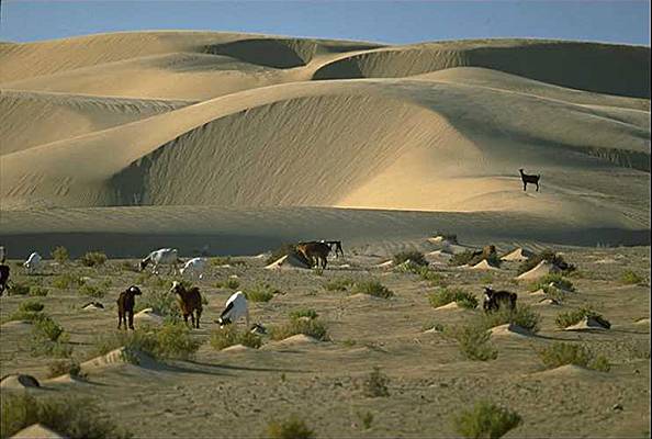 Tassili des Ajjers