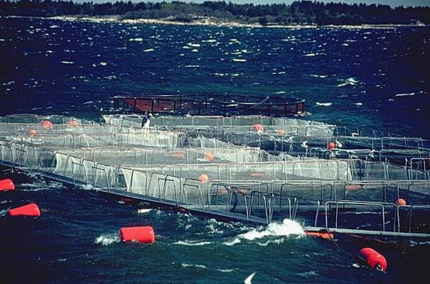 Ferme marine