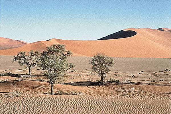 Désert de Namibie