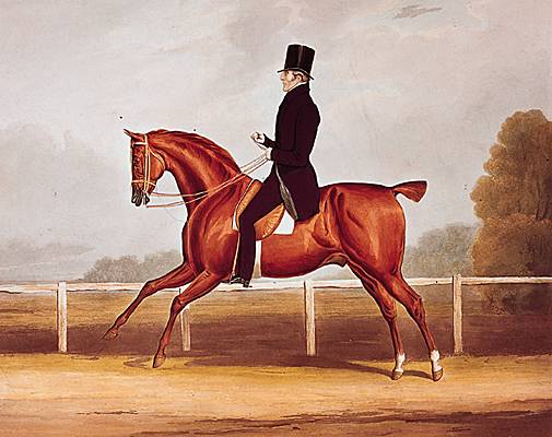 Le duc de Wellington à cheval
