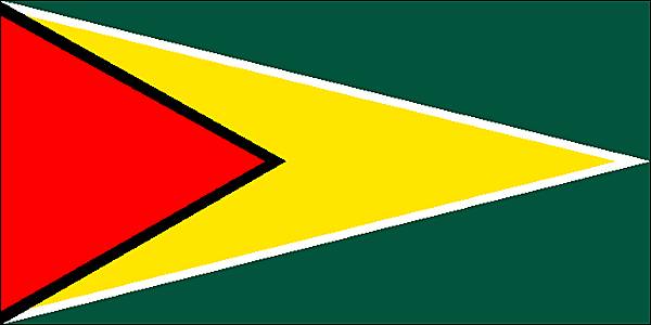 drapeau de guyana - Image