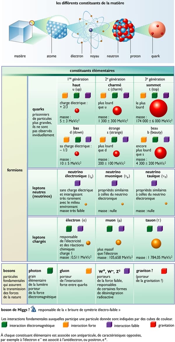 Les particules élémentaires selon le modèle standard