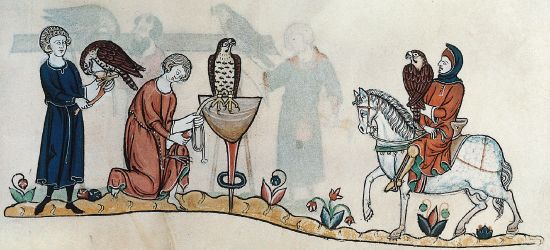 Frédéric II de Hohenstaufen, traité de fauconnerie