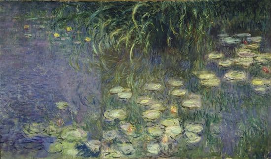 Encyclopédie Larousse en ligne - Claude Monet, les Nymphéas, le matin