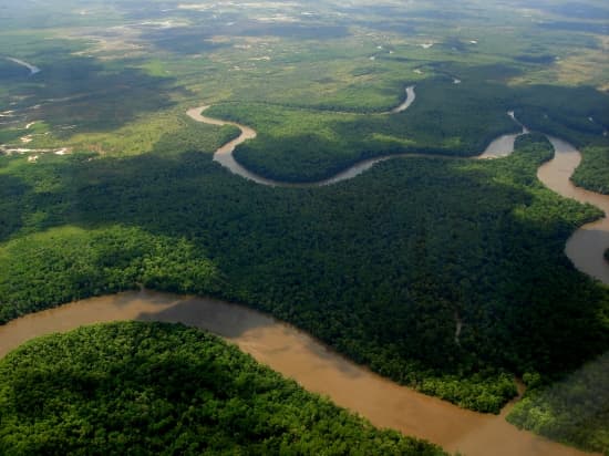 Flûte nasale patete des Wayana d'Amazonie