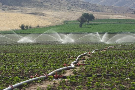 Irrigation par tubes