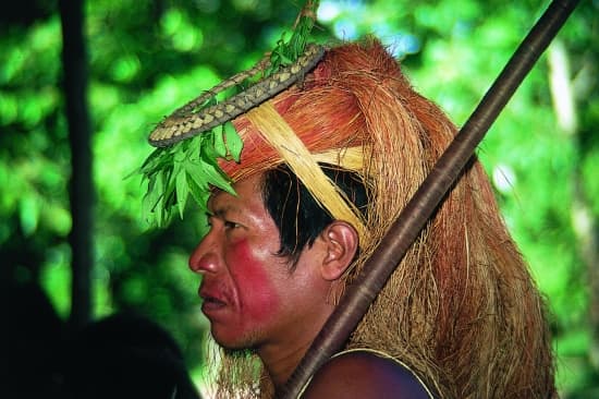 Amazonie, Amérindien Yacas