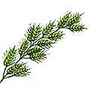 Brome