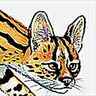 Serval