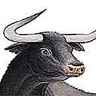 Aurochs Aurochs