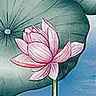 Nelumbo