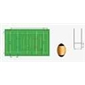 Terrain de rugby