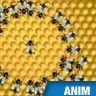 Abeilles, danse des abeilles