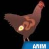 Œuf de poule, formation