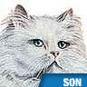 Chat, ronronnement