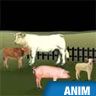 Viande, morceaux de viande