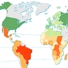 La déforestation