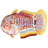 Gobie