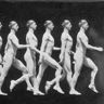 Chronophotographie