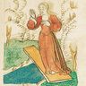 Clément Marot, <I>Chronique parisienne</I>
