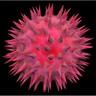 Virus