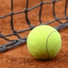 Balle de tennis et filet