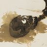 Victor Hugo, l'Ombre du mancenillier