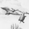 Jean de La Fontaine, <I>la Tortue et les Deux Canards</I>
