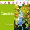 Voltaire, Candide