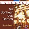 Émile Zola, <i>Au Bonheur des Dames</i>