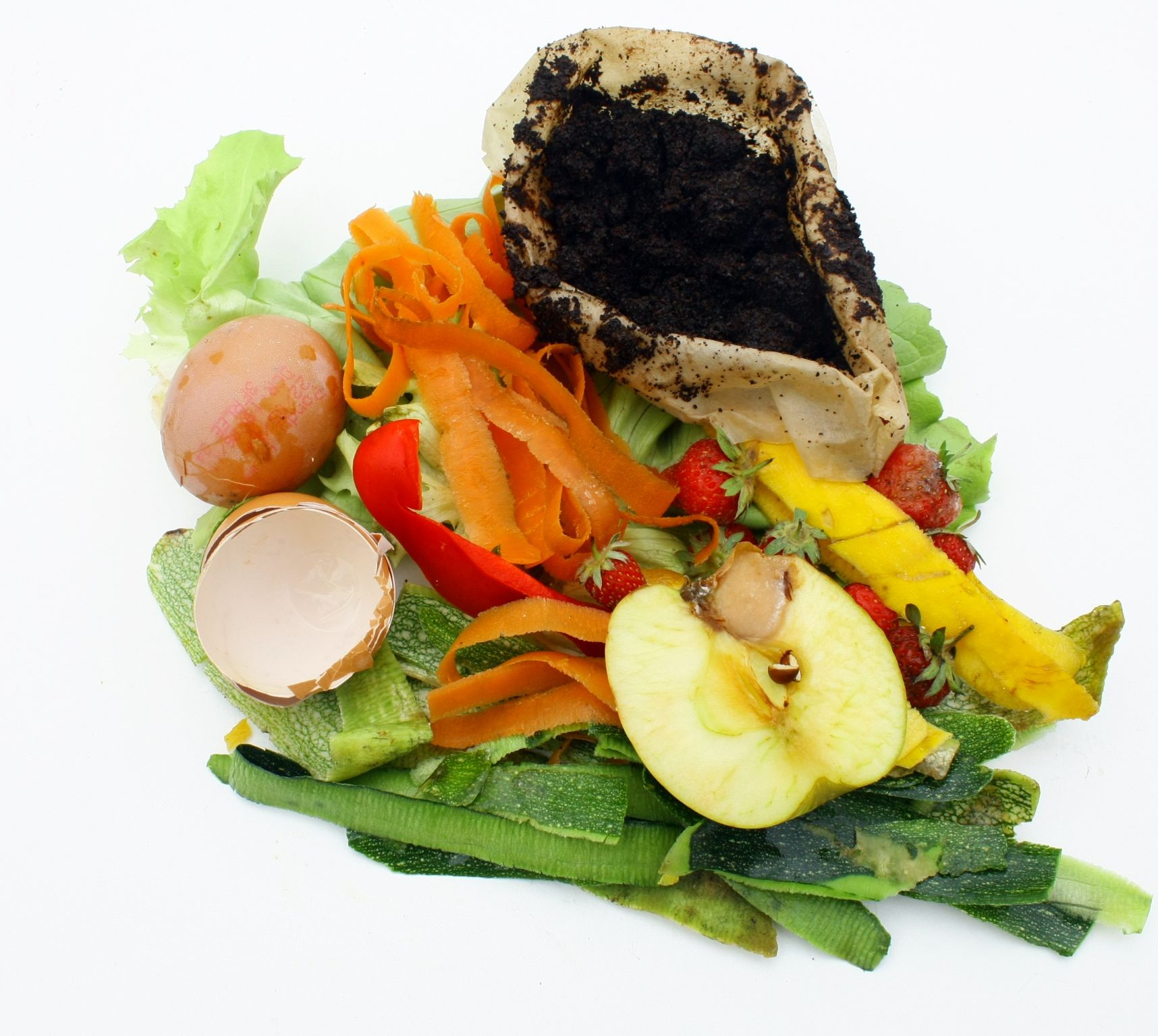 des déchets biodégradables