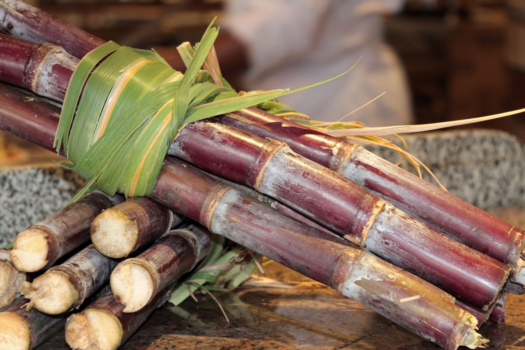 tiges de canne à sucre