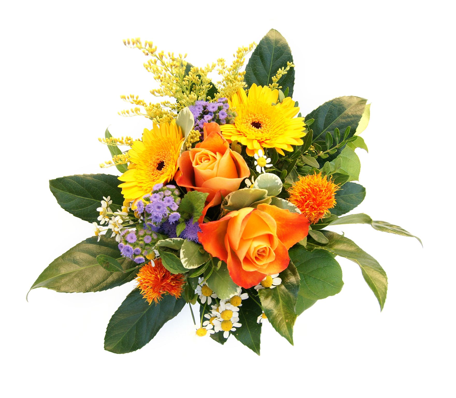 un bouquet de fleurs