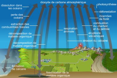 Vers un écosystème 100% décarboné
