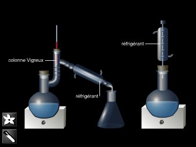 Parfum, essence naturelle et de synthèse