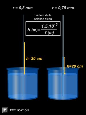 capillarité - LAROUSSE