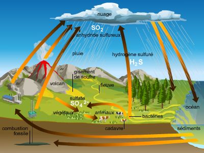 Cycle du soufre