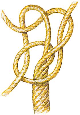 Nœud de cul-de-porc Nœud de cul-de-porc