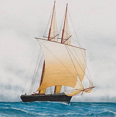 Voile de fortune Voile de fortune