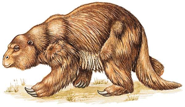 Reconstitution d'un mégathérium