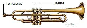 Trompette