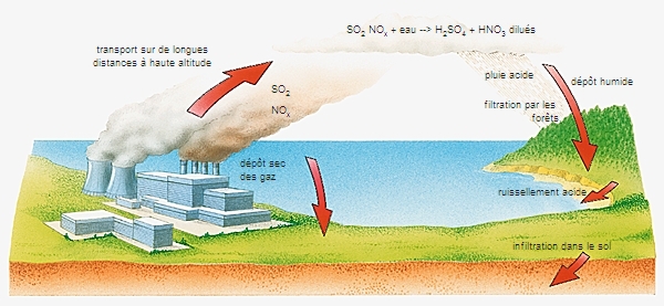 Pollution par le pétrole – Média LAROUSSE