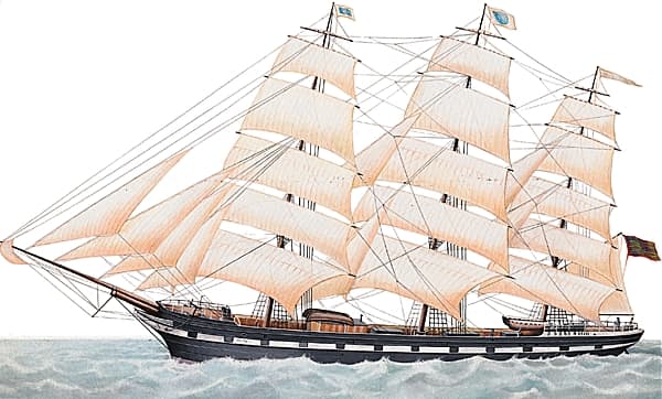 Localisation des cacatois