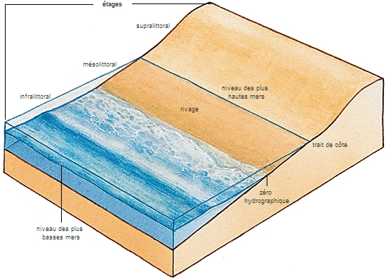 littoral - LAROUSSE